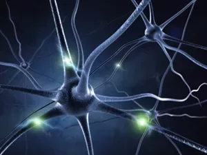Alpha Brain Review: Are You Ready To Get On Board The Smart Drug Train? Try Alpha Brain! 2 iStock 000014137482XSmall 49 jpg webp
