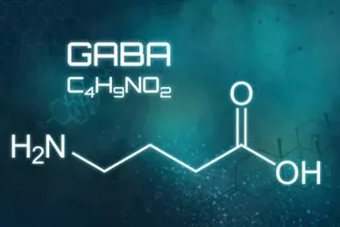 How GABA Benefits Your Body 6 shutterstock 1548046328 jpg