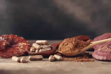 Reishi Mushroom: Benefits, Side Effects, Dosage & More 4 shutterstock 715157881 resized jpg