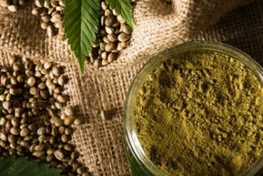 Discover the Power of Hemp Protein: Unlock Optimal Health, Fitness, and Nutrition 6 shutterstock 773980048 jpg