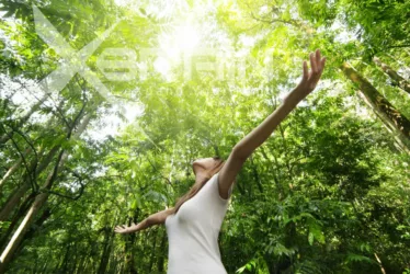 ONNIT EGN (Earth Grown Nutrients) 3 siberian ginseng 2110 jpg
