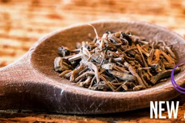 New Mood Ingredients - Valerian Root 2 valerian root new mood jpg